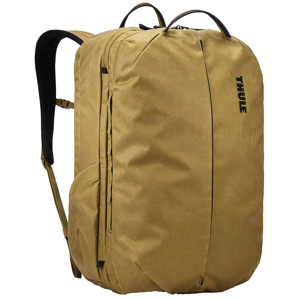 Aion Travel 40 L Backpack