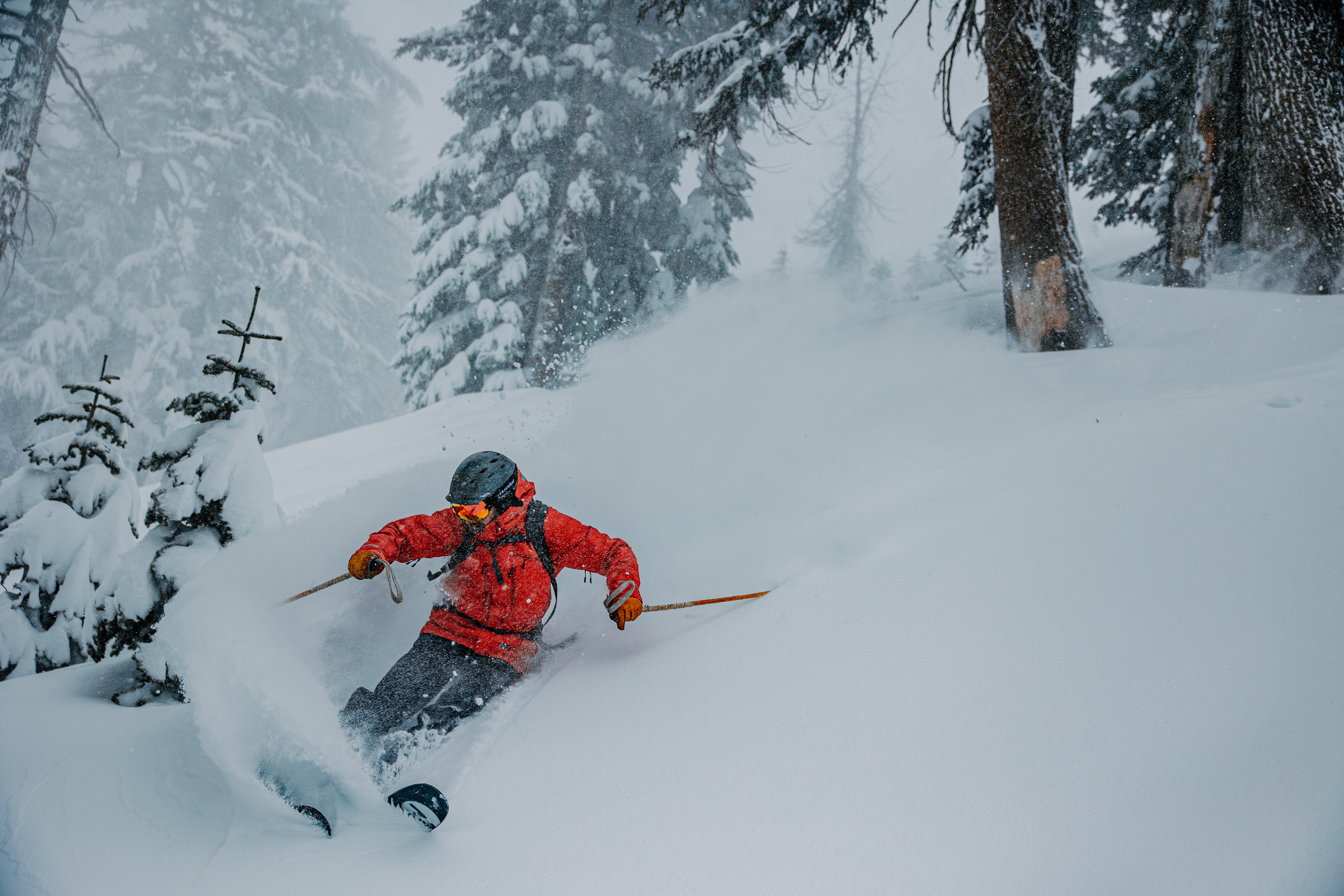 Bear Valley Ski Bus - Image 4