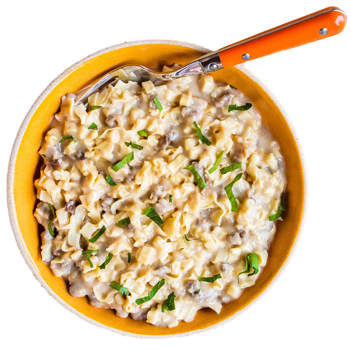 Beef Stroganoff with Noodles - Image 3