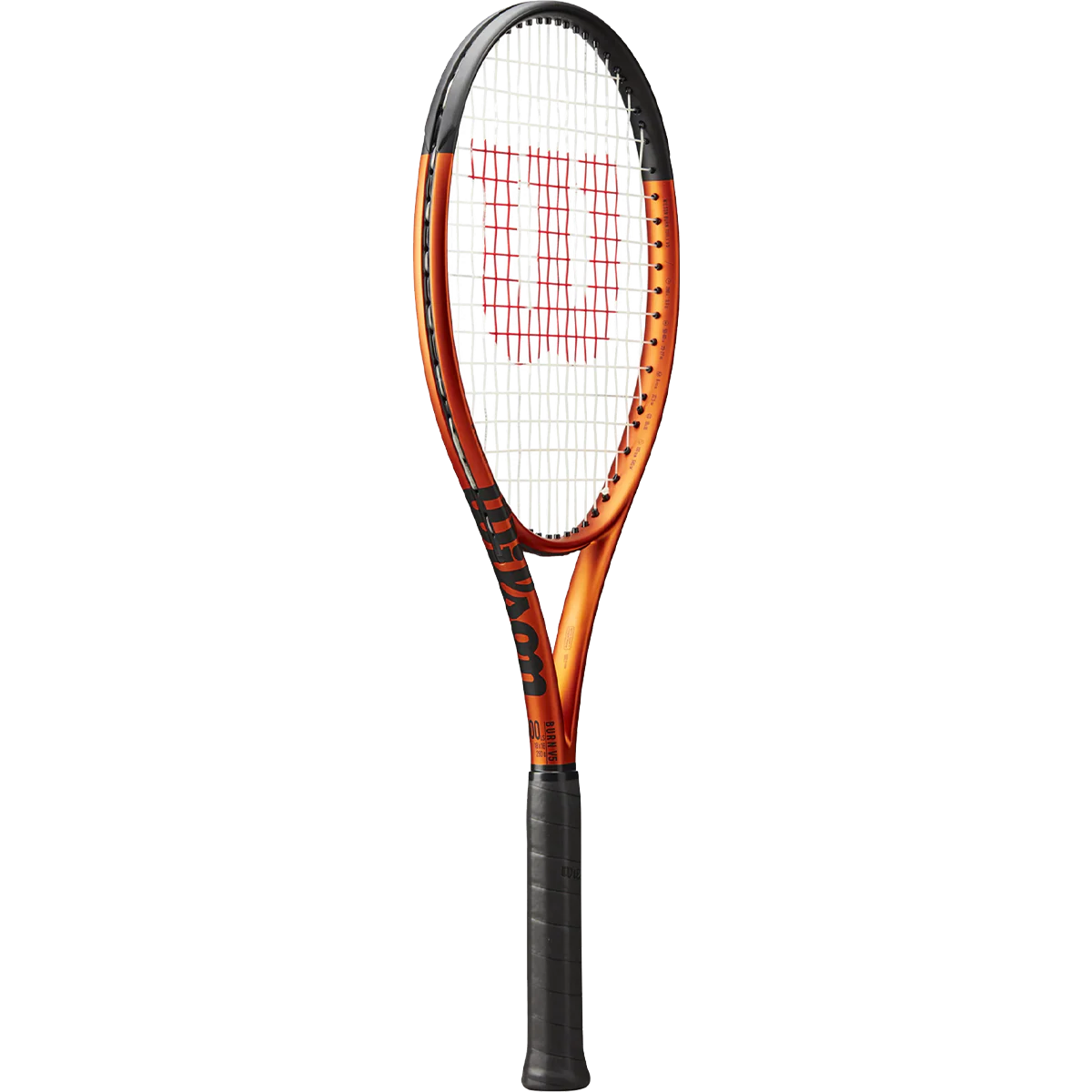 Burn 100LS v5 - Image 2