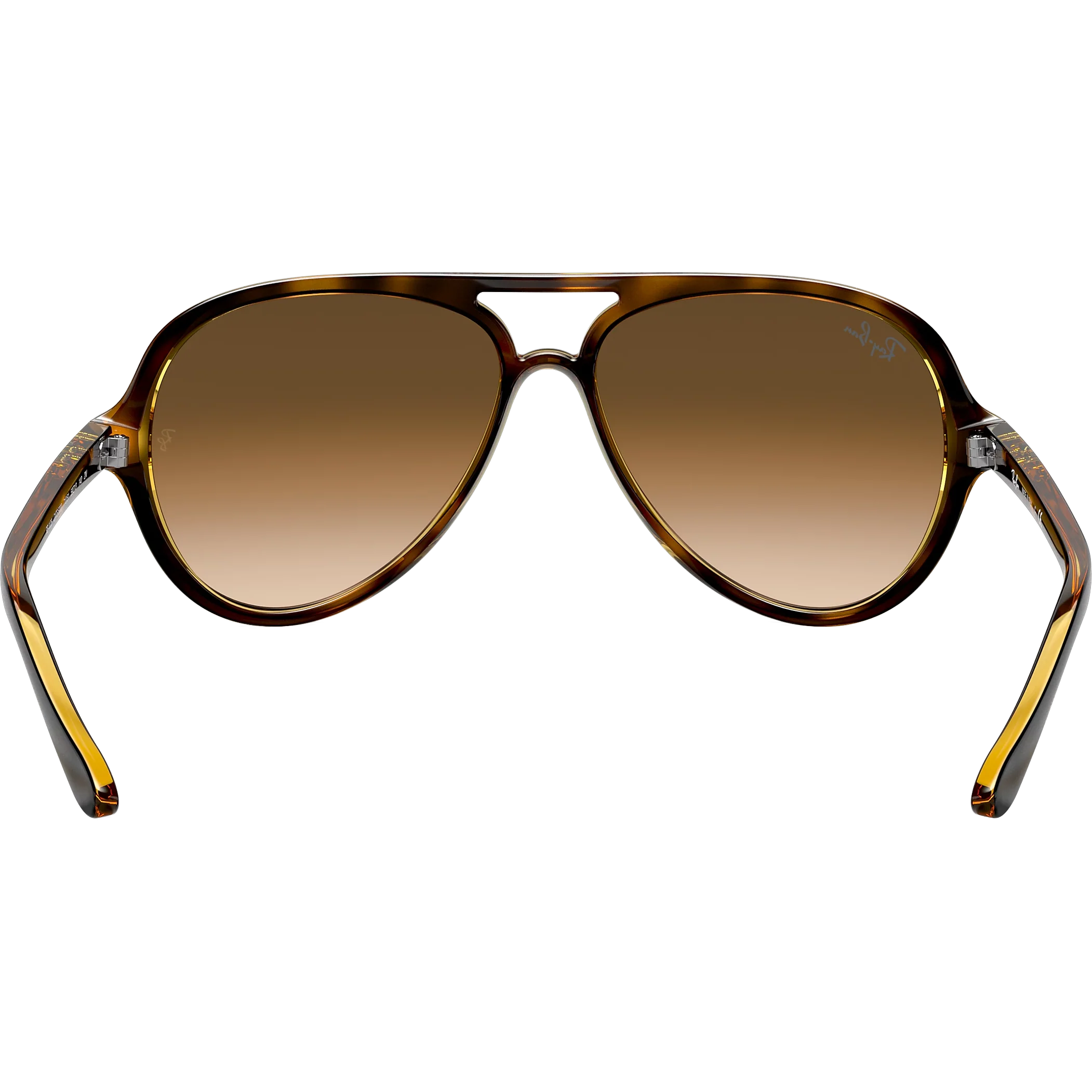 Cats 5000 - Light Havana/Light Brown Gradient - Image 4