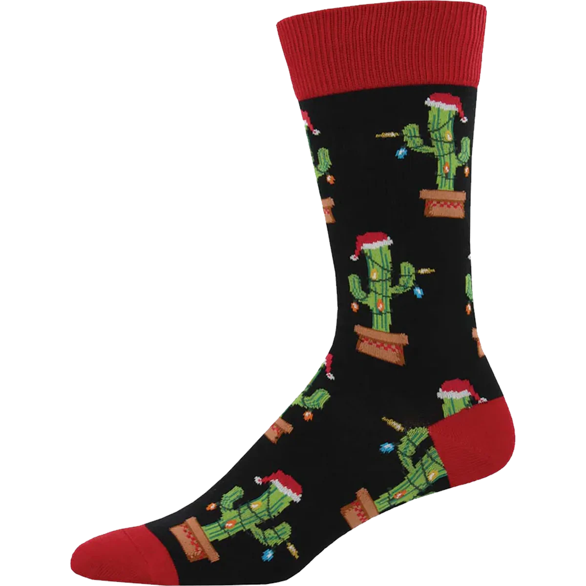 Christmas Cactus