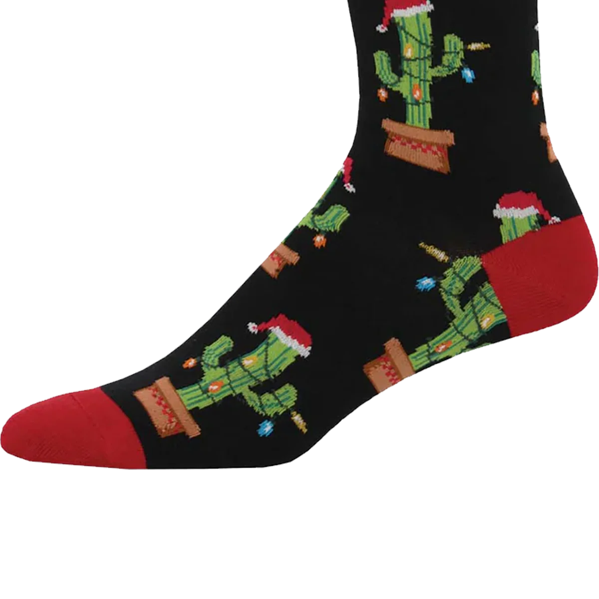 Christmas Cactus - Image 2
