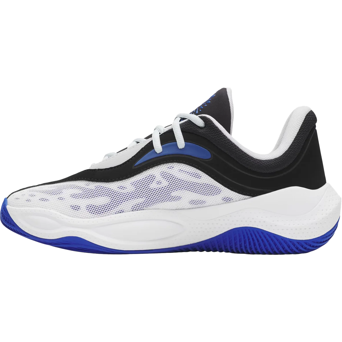 Curry Splash 25 - Image 2