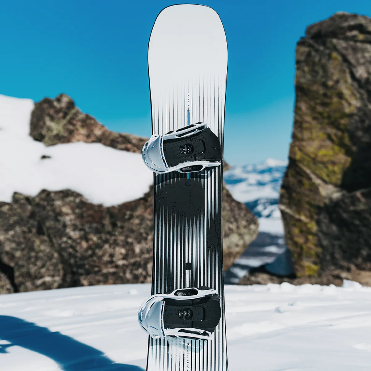 Custom X Camber - Image 6
