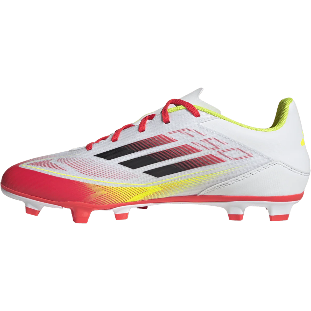 F50 Club FG/MG - Image 2