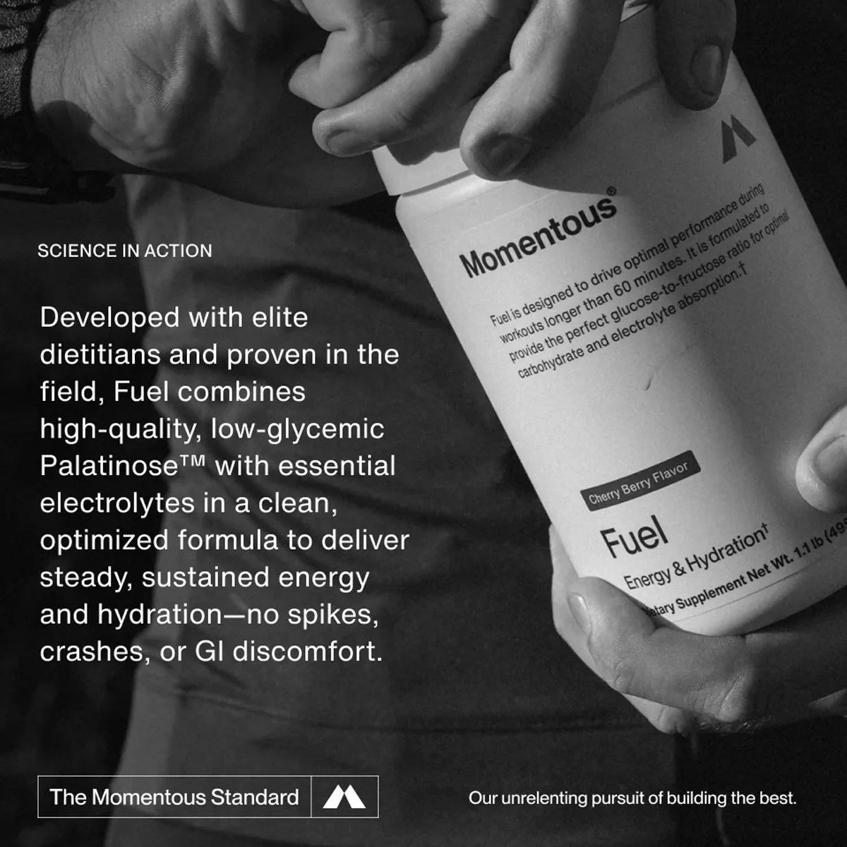 Fuel (Single Serving) - Image 5