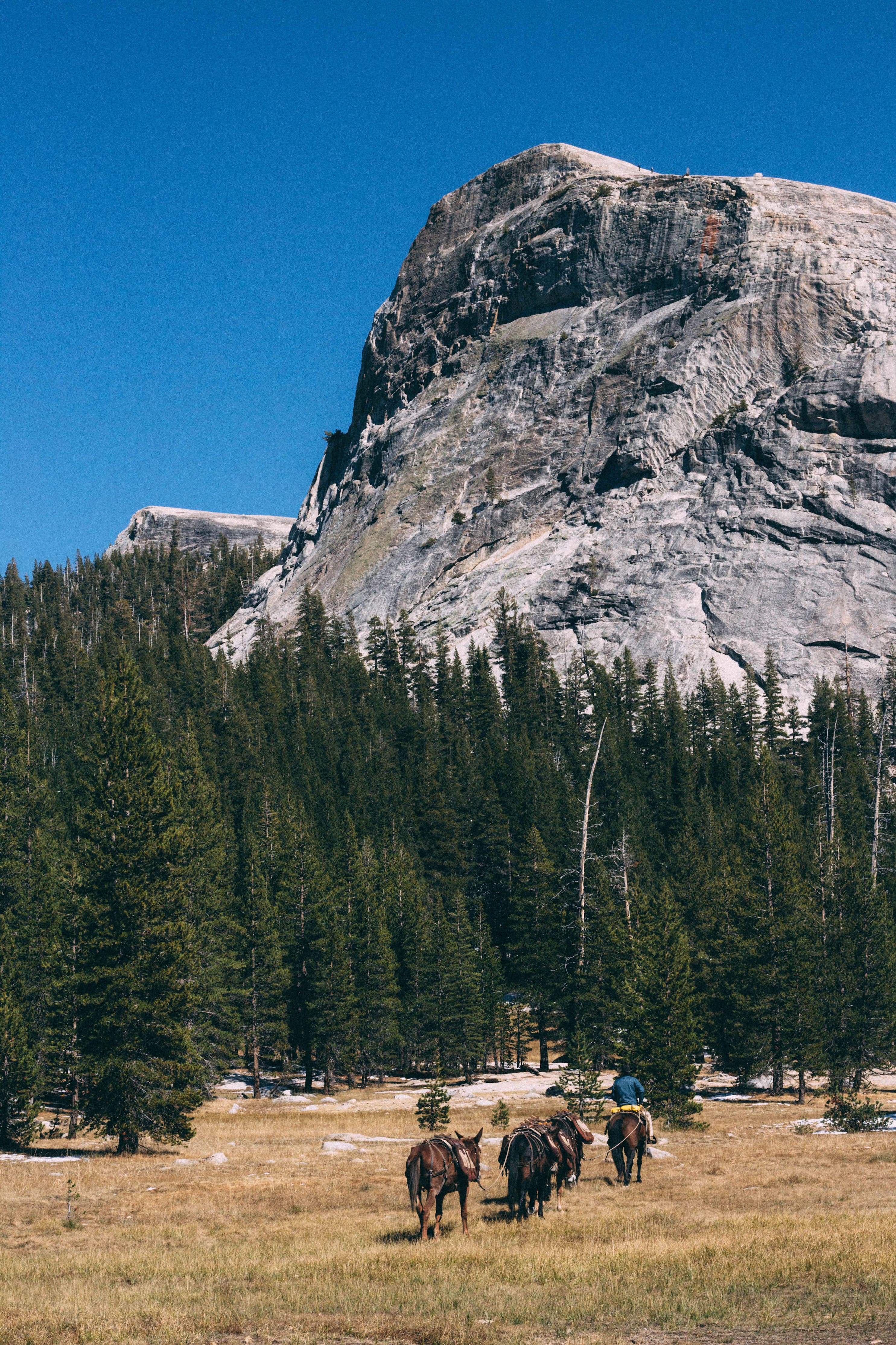 Backpacking Yosemite: Glen Aulin - Image 15
