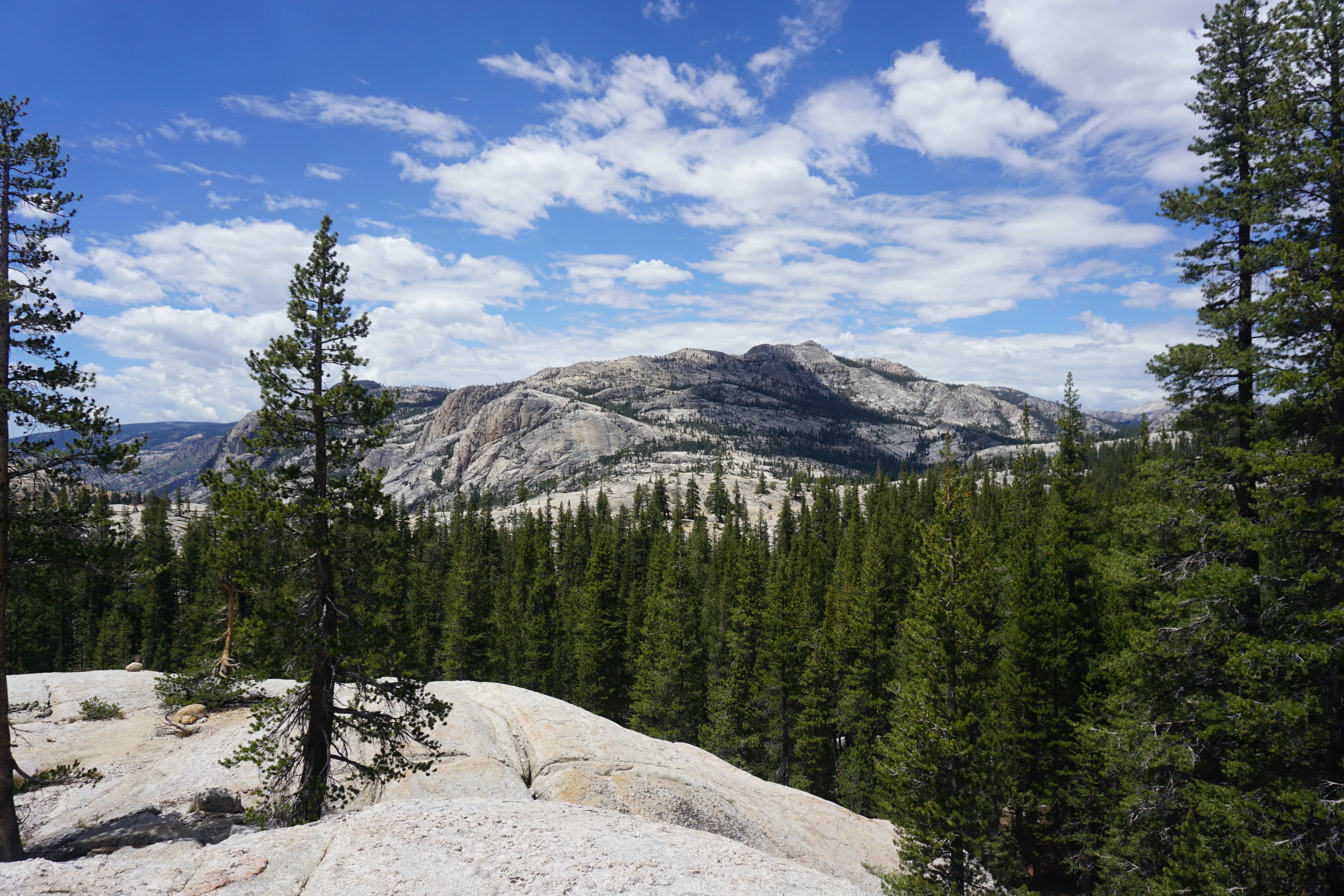 Backpacking Yosemite: Glen Aulin - Image 36