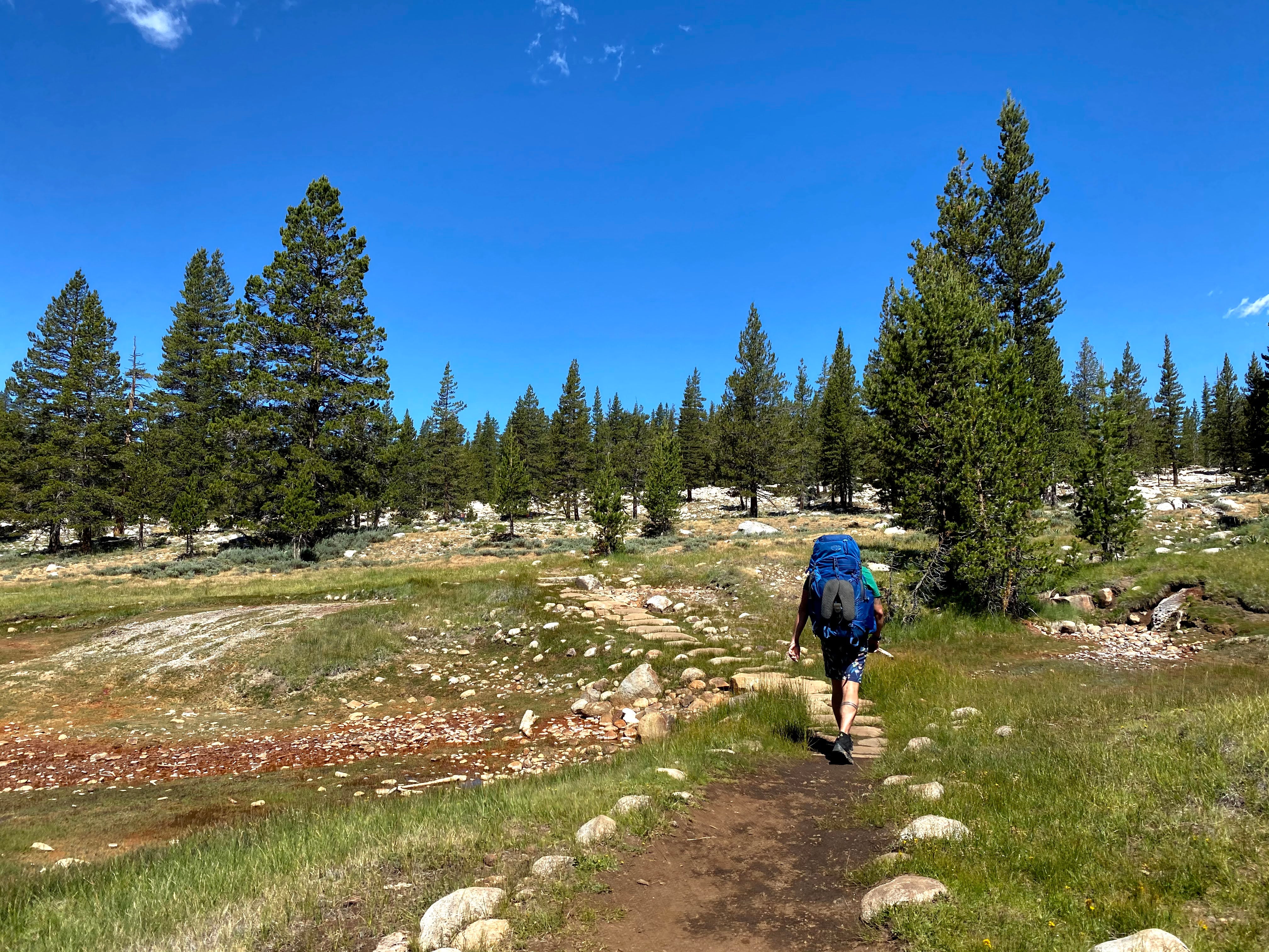 Backpacking Yosemite: Glen Aulin - Image 41