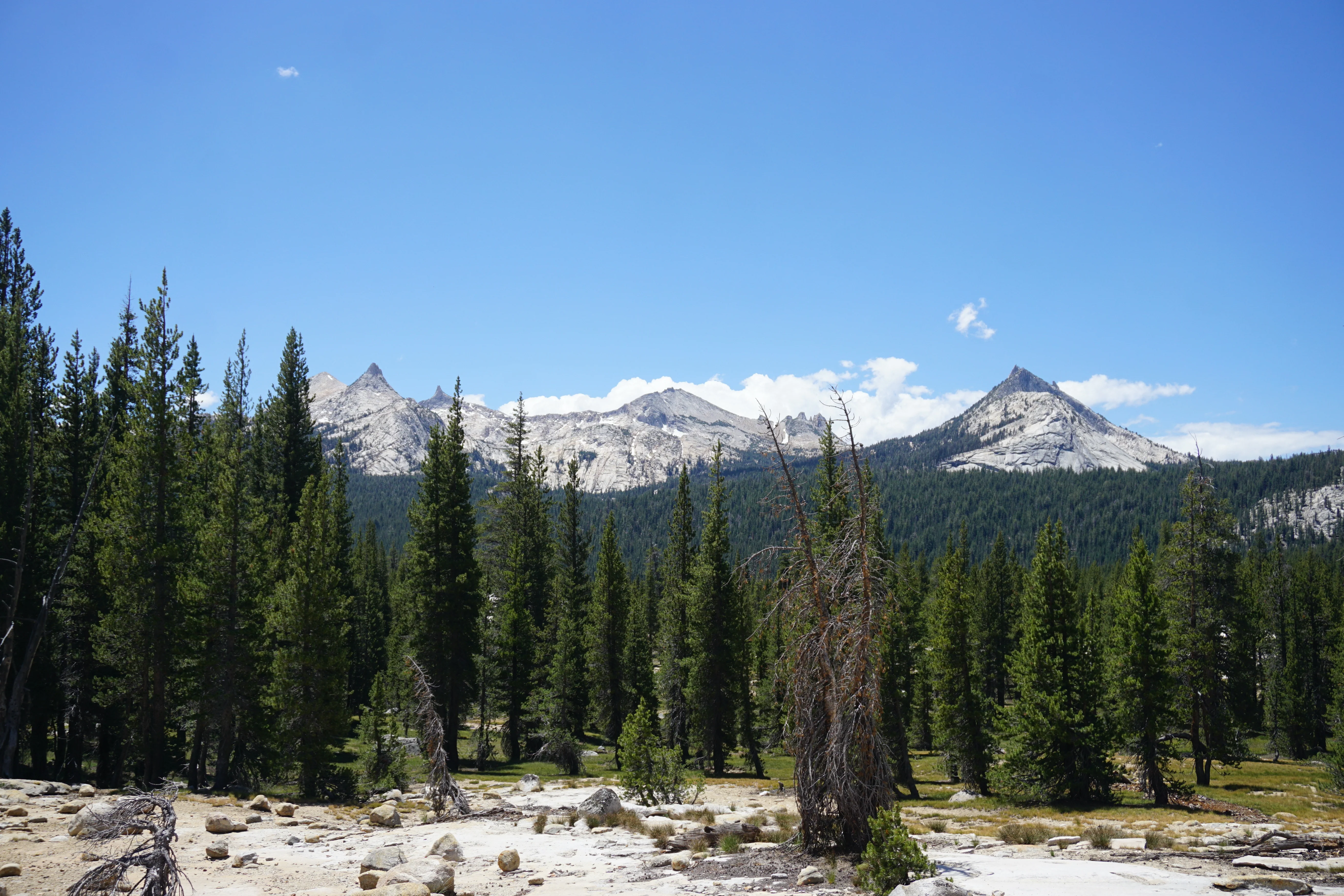 Backpacking Yosemite: Glen Aulin - Image 42