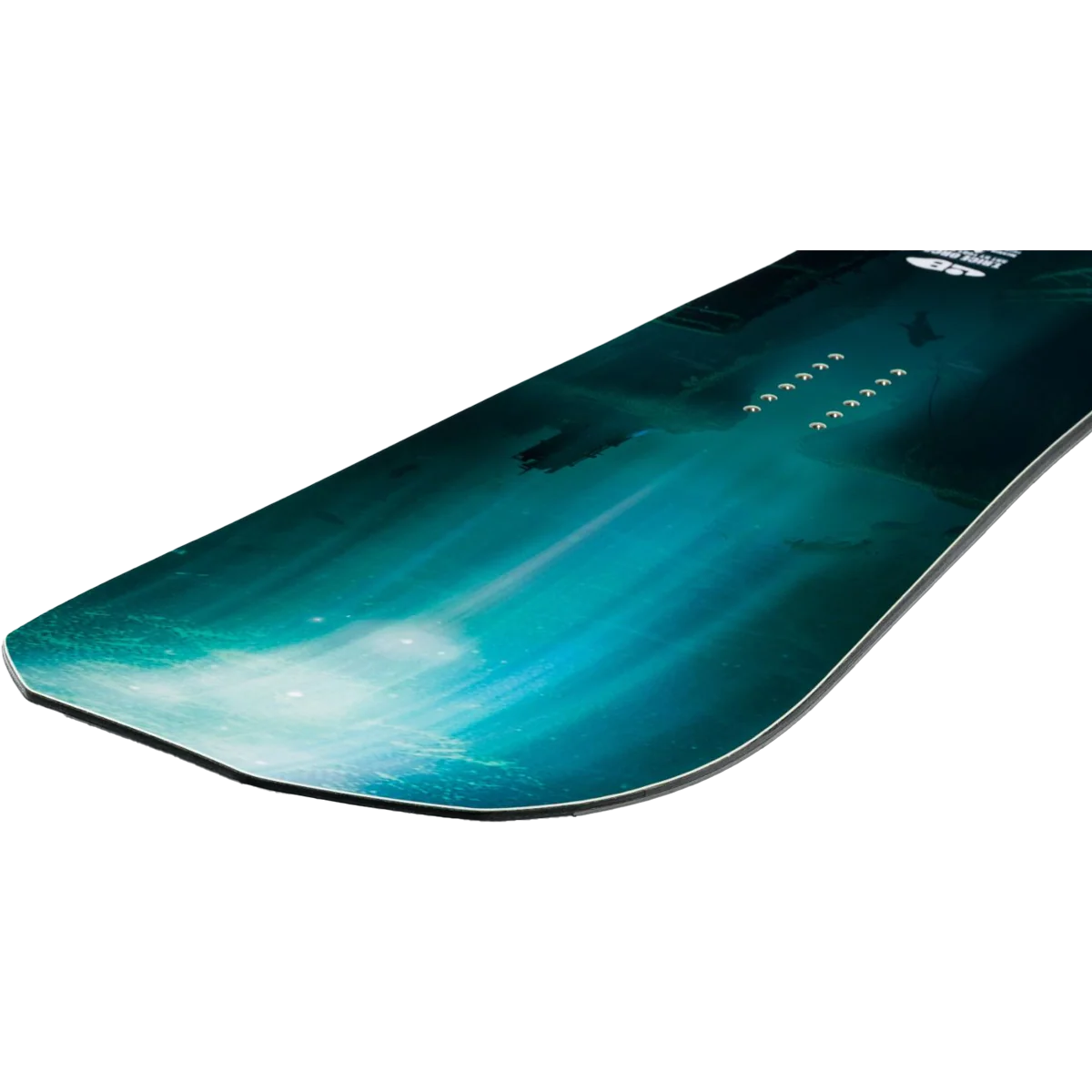 Orca - Image 3