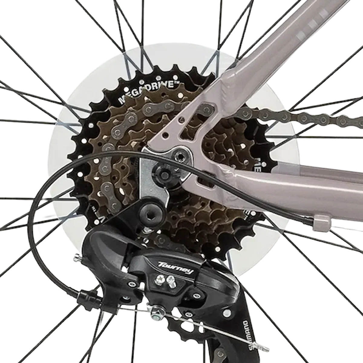 Lifestyle Bike - Image 4