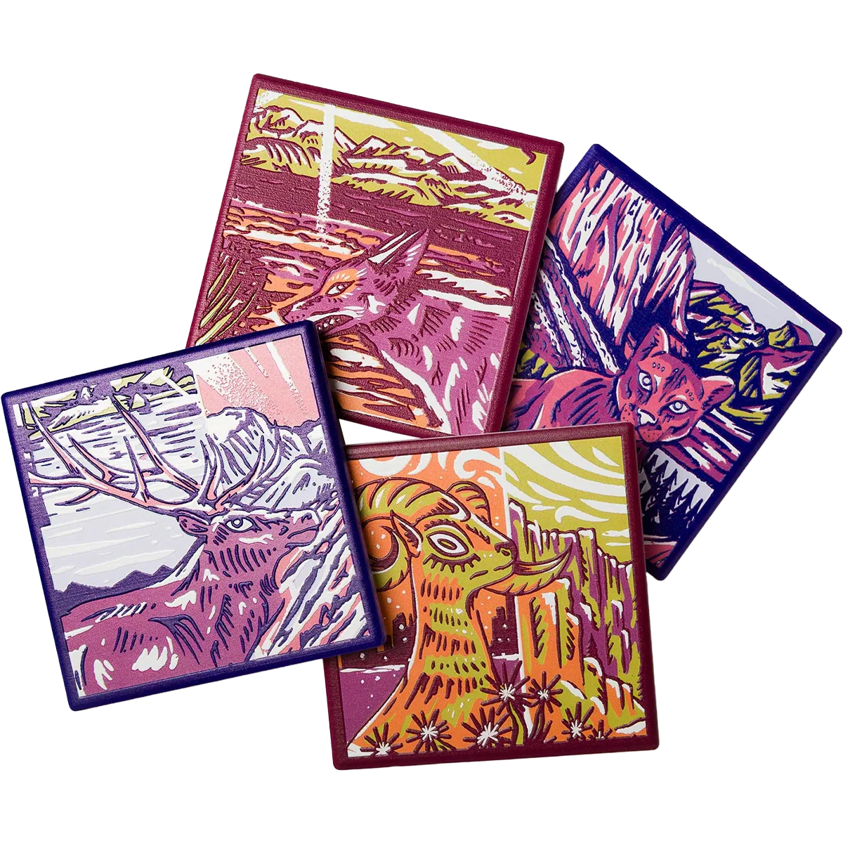 National Park Naturalist Coaster Set
