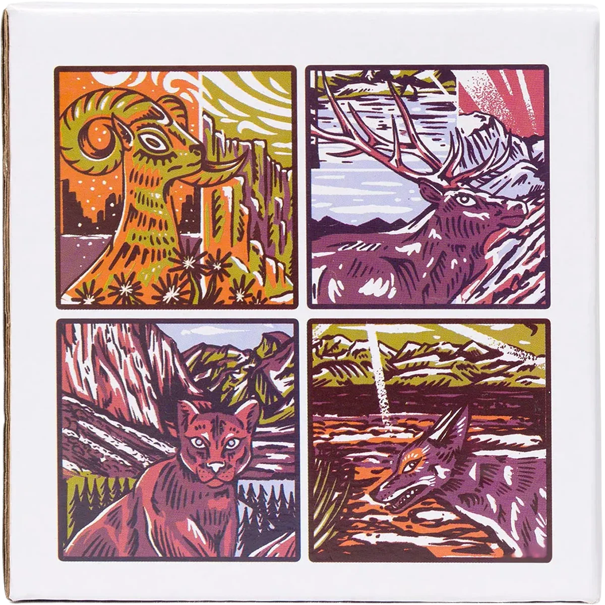 National Park Naturalist Coaster Set - Image 3