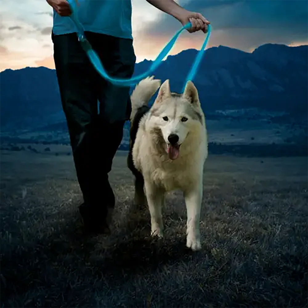 NiteDog Rechargeable LED Leash - Image 5