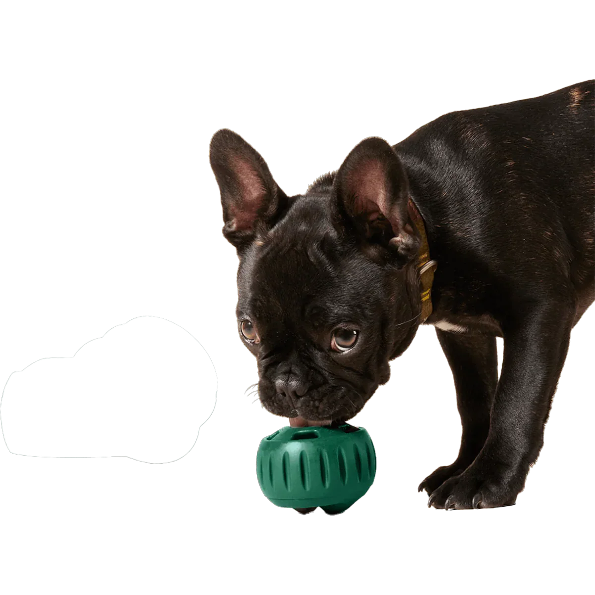 Pupsicle Pops - Image 3