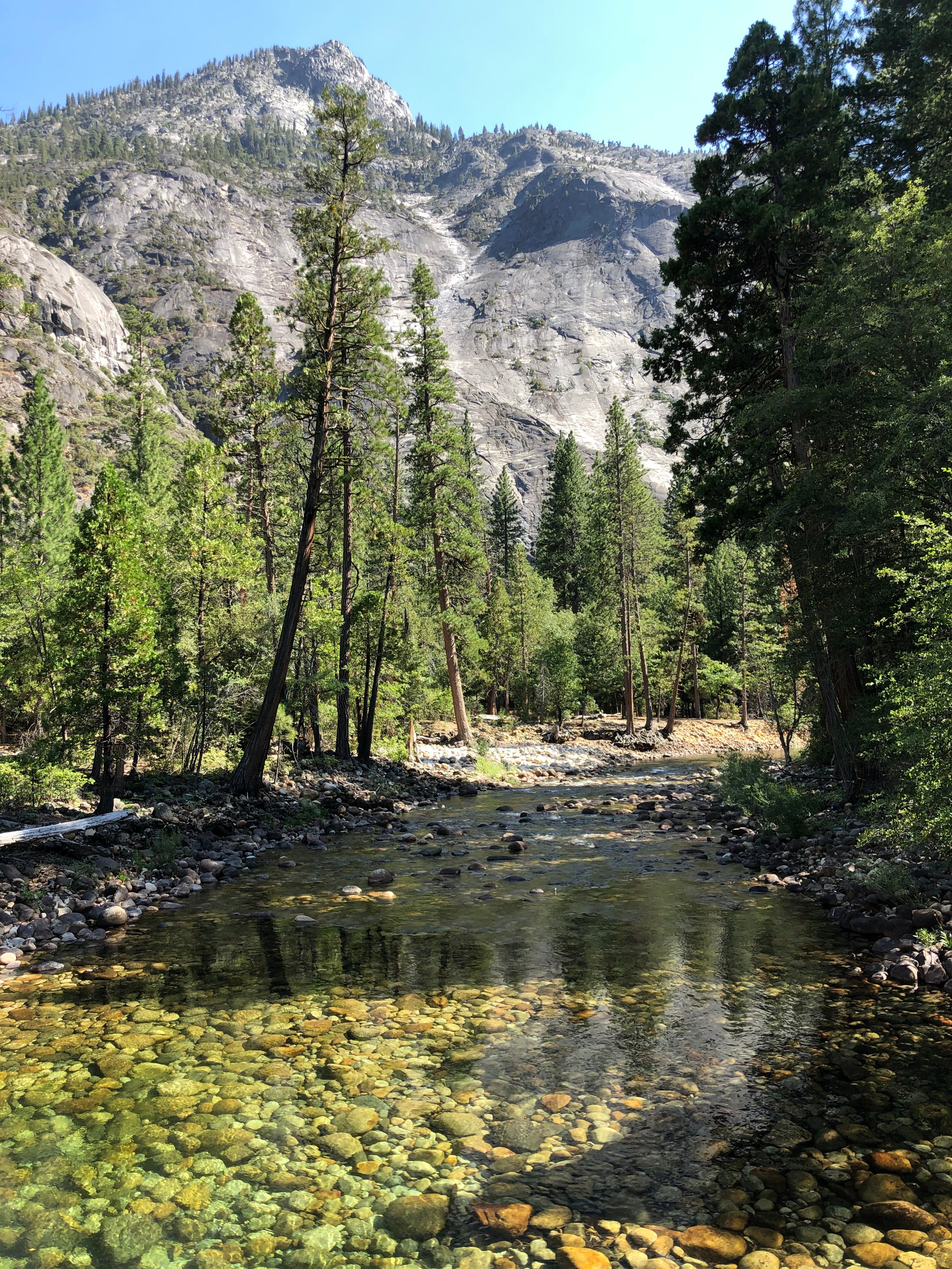 Backpacking Yosemite: Grand Canyon of the Tuolumne River - Image 45