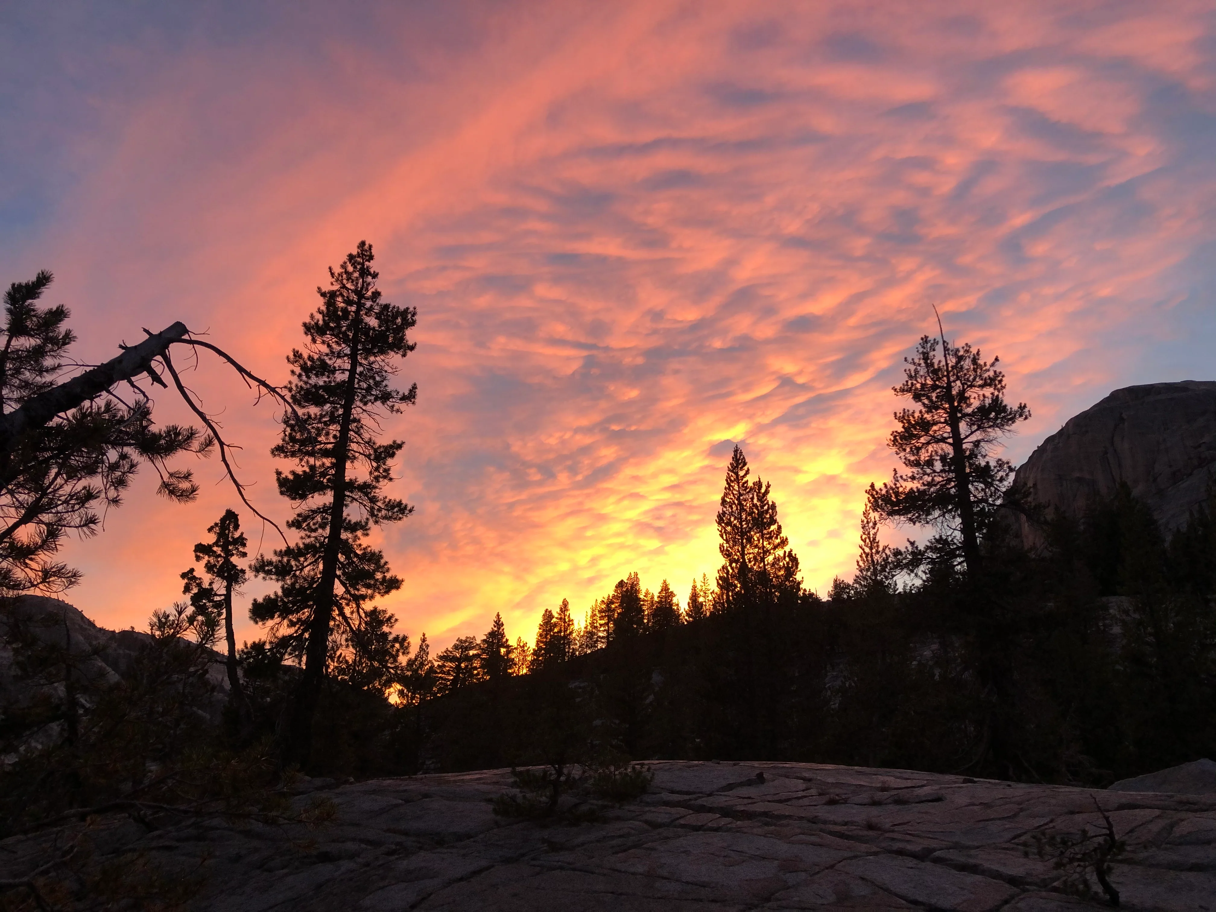 Backpacking Yosemite: Grand Canyon of the Tuolumne River - Image 46