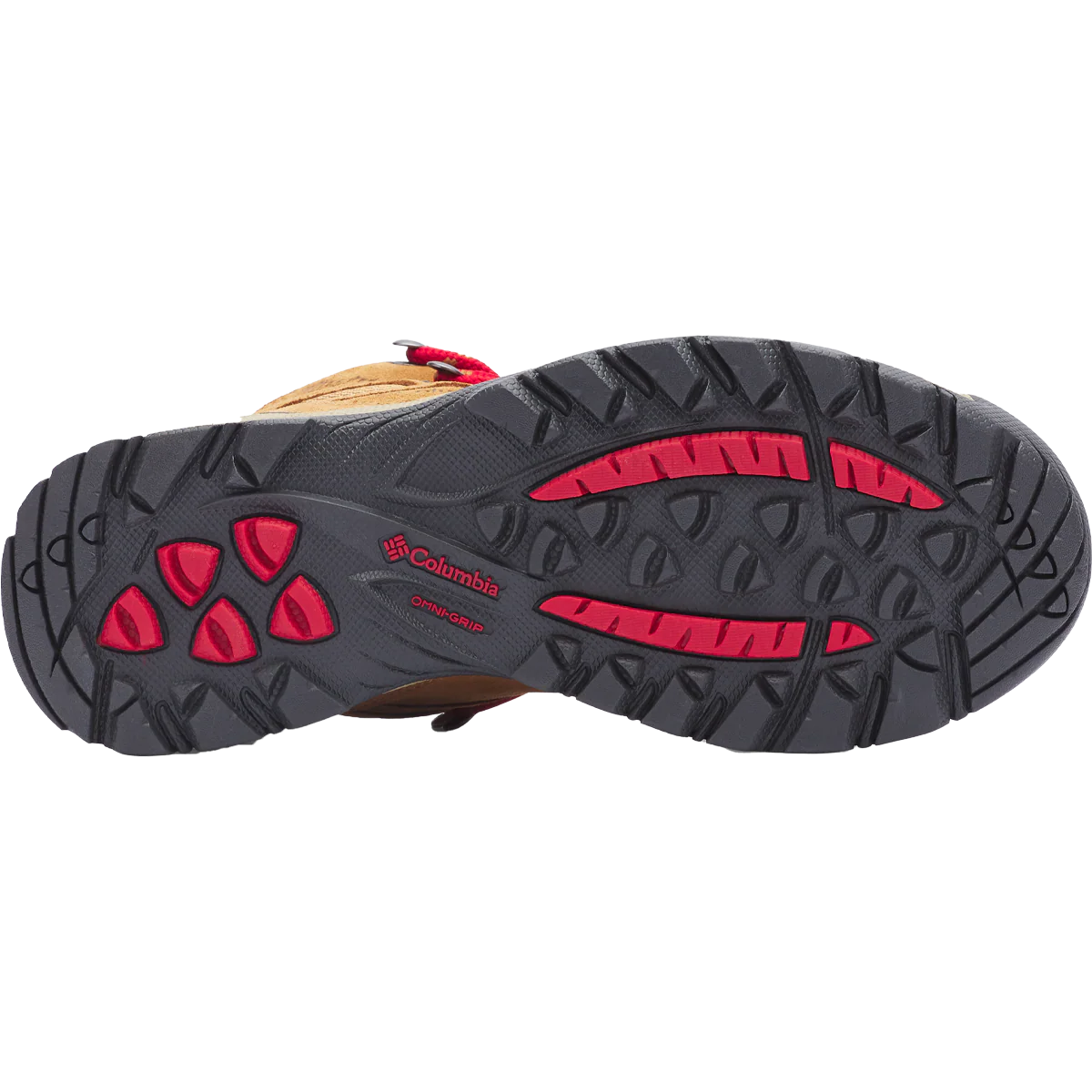 Women's Newton Ridge Plus Waterproof Amped - Image 12
