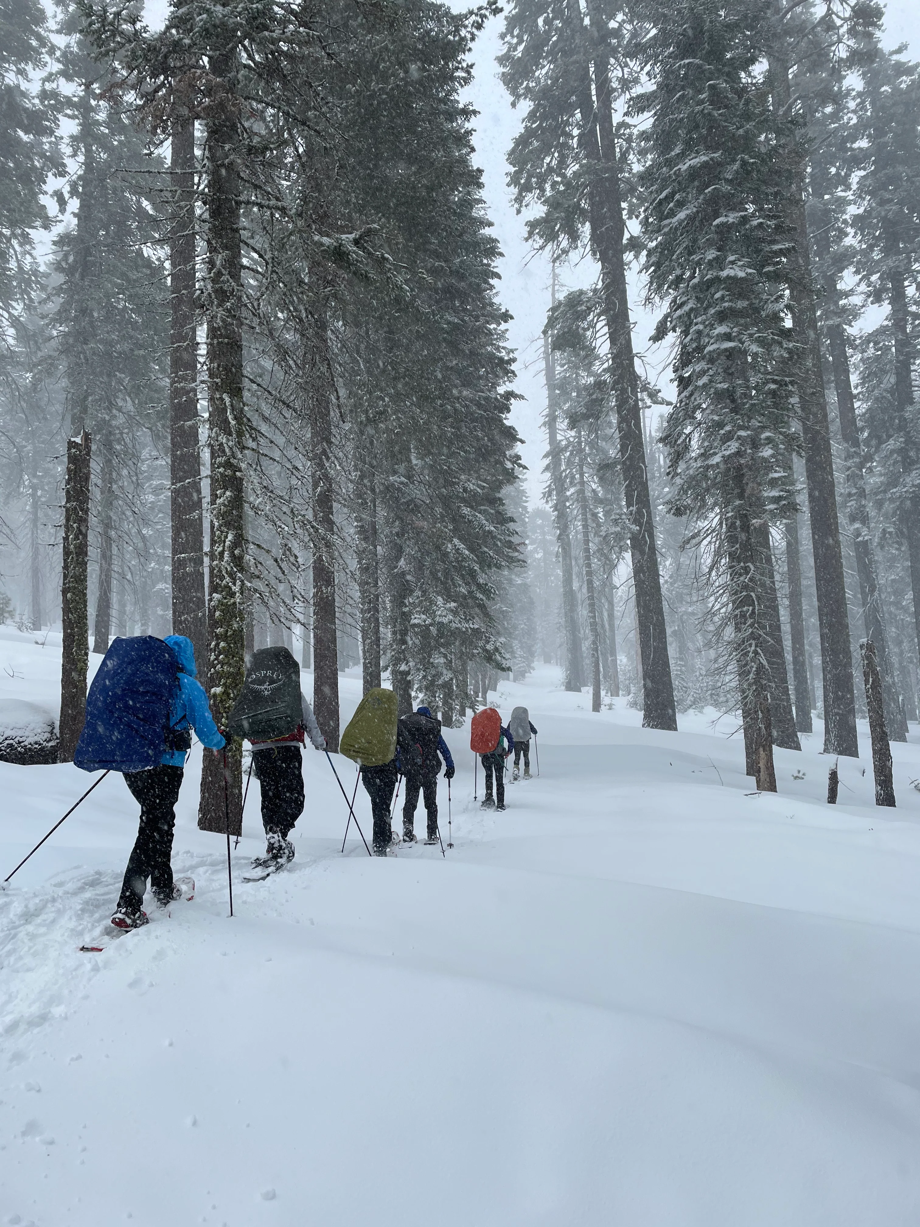 Snowshoeing Yosemite: Dewey Point /Crocker Point Weekend - Image 14