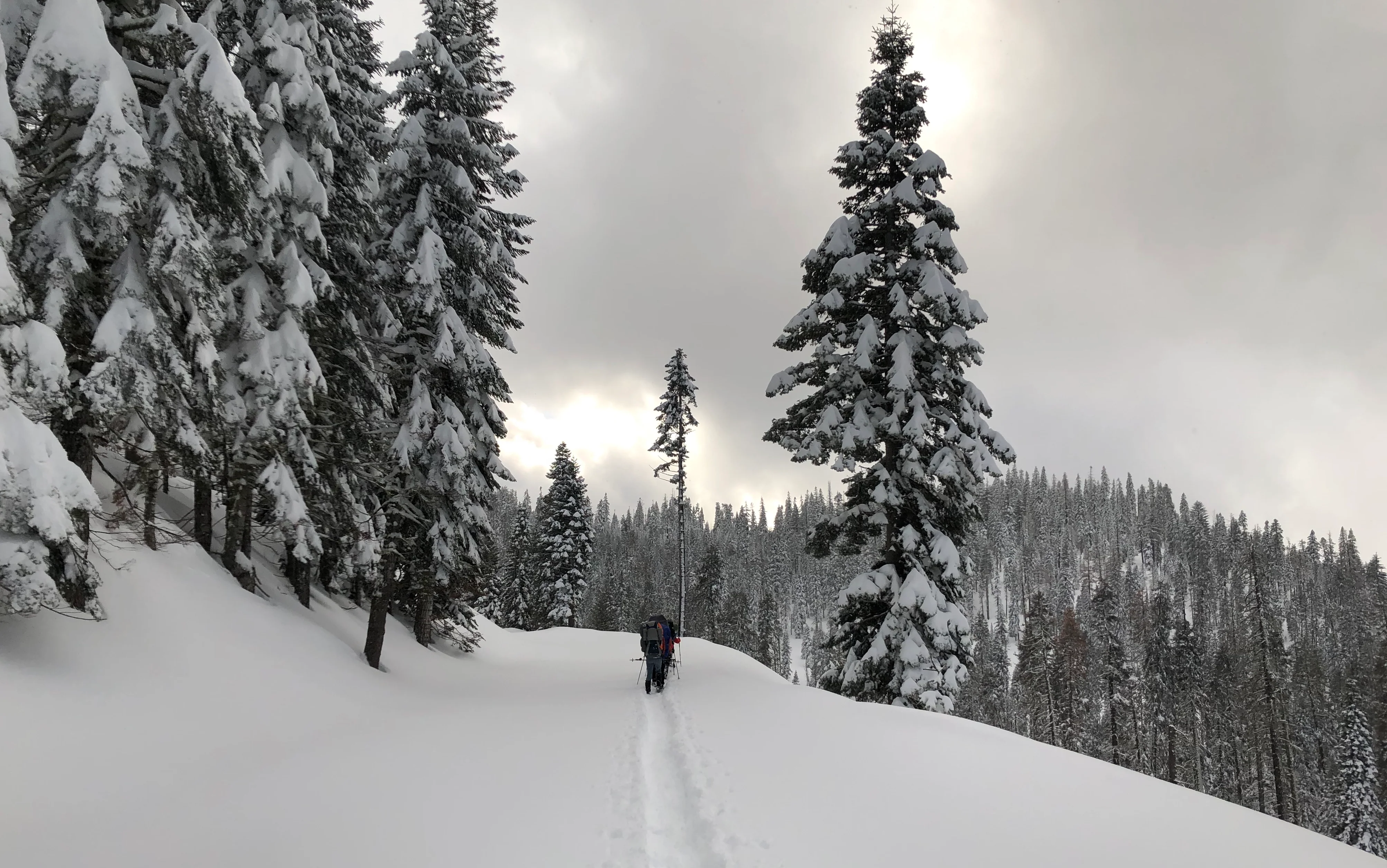 Snowshoeing Yosemite: Dewey Point /Crocker Point Weekend - Image 17