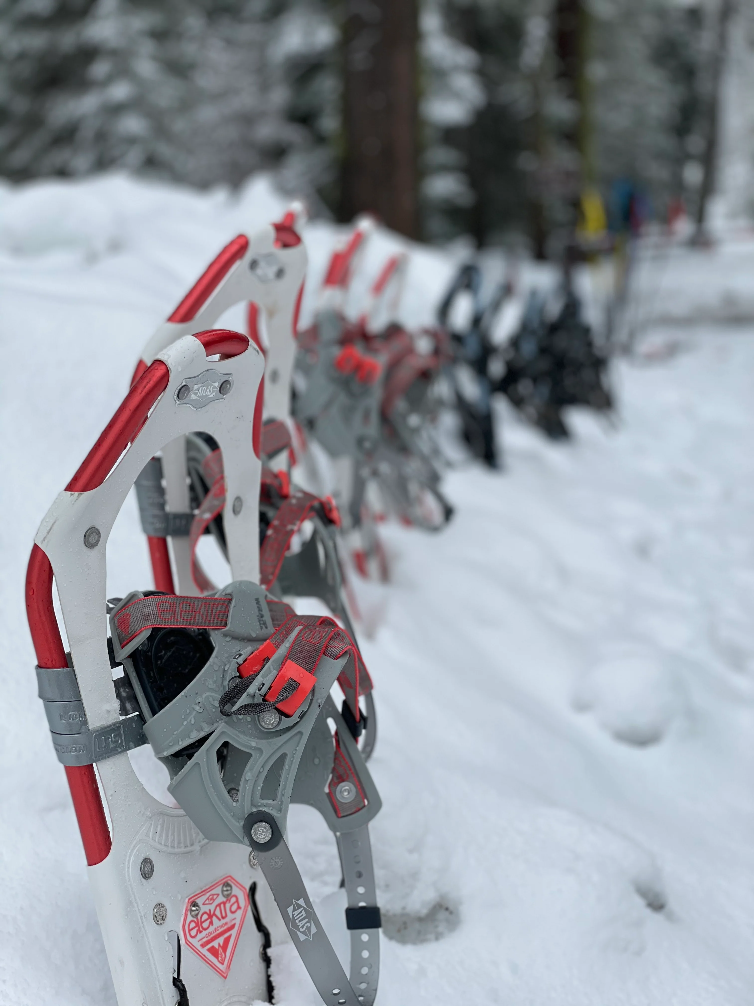 Snowshoeing Yosemite: Dewey Point /Crocker Point Weekend - Image 18