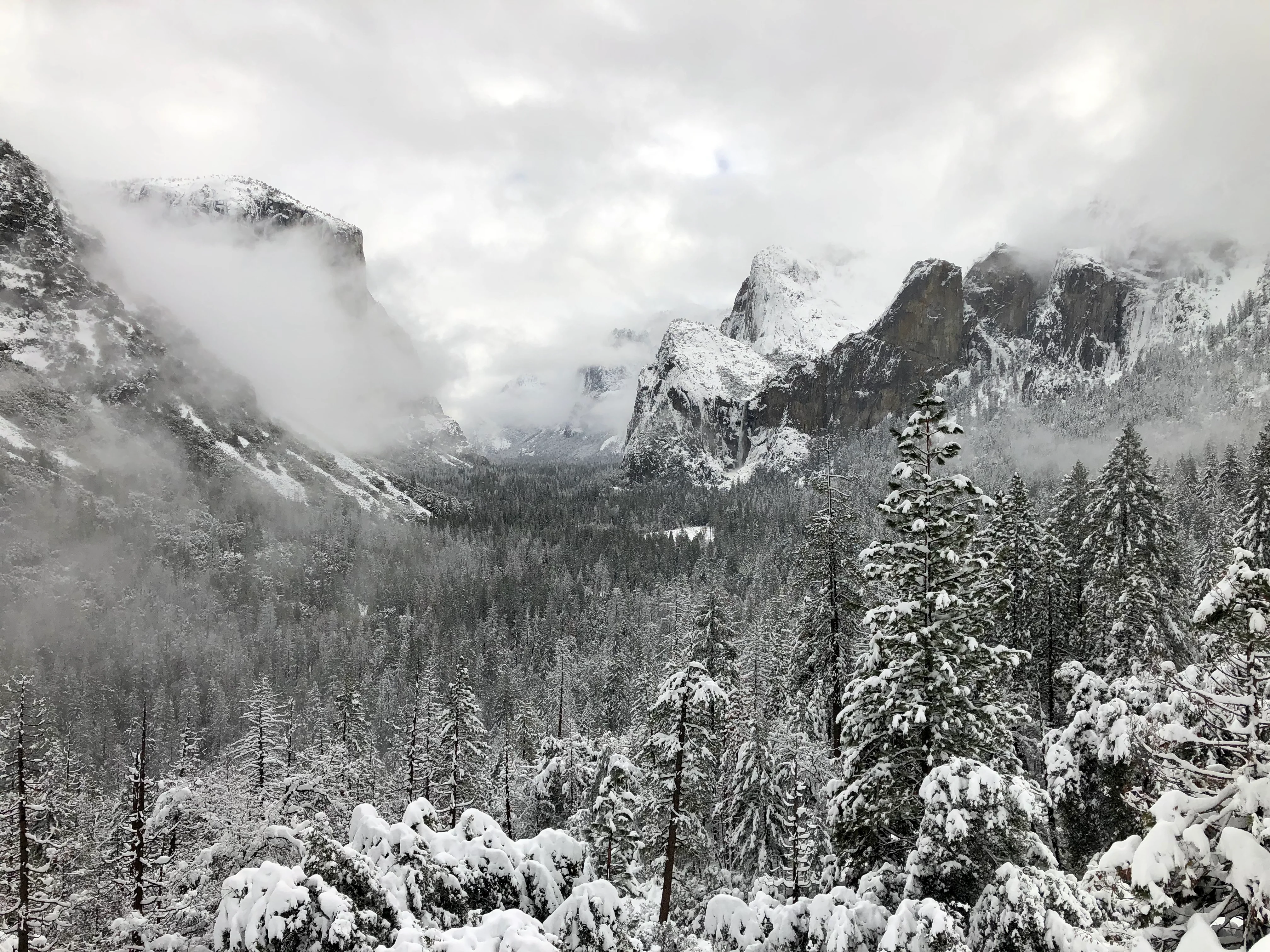 Snowshoeing Yosemite: Dewey Point /Crocker Point Weekend - Image 26