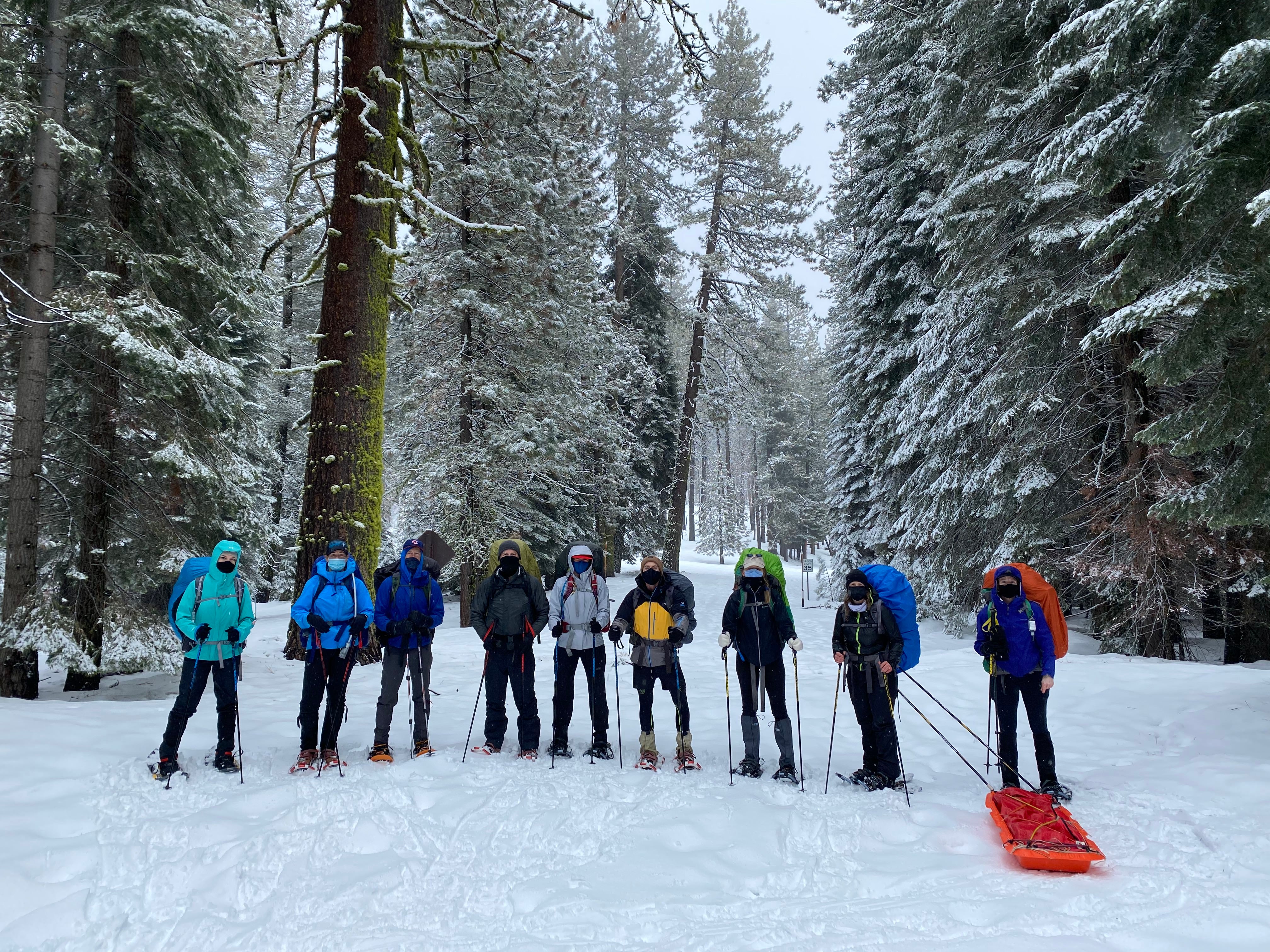Snowshoeing Yosemite: Dewey Point /Crocker Point Weekend - Image 31